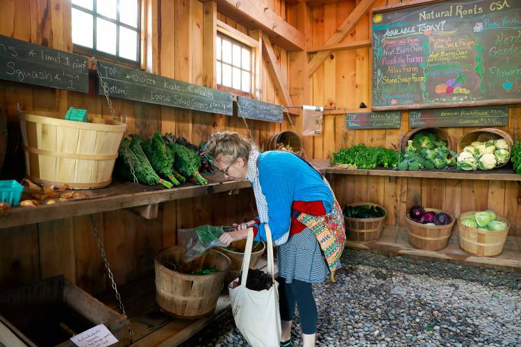 Lauren Iveson of Shelburne Falls picks up produce from the Natural Roots CSA on Saturday in Conway. 