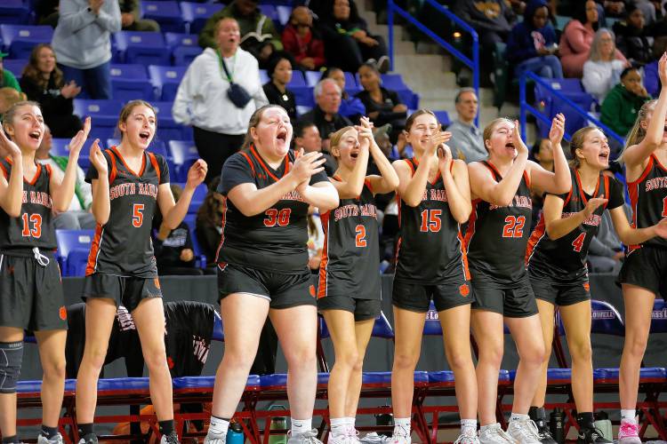 The South Hadley sideline cheers in the third quarter against Cathedral during the MIAA Div. 4 girls basketball state final Sunday afternoon at the Tsongas Center in Lowell.