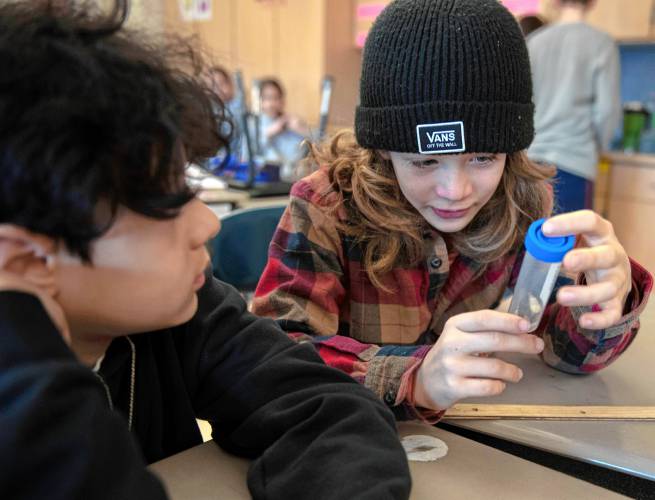 Michi Como and Alexander Matteis, students at Hatfield Elementary School, look at a black bear claw as part of the MassMammals Watch project for the fifth grade science curriculum.