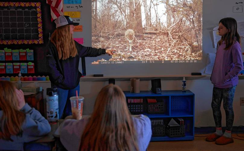 Madison Renner and Harper Phaneuf, eighth graders at Smith Academy in Hatfield, talk to students at Hatfield Elementary School, about their participation in the MassMammals Watch project and what kinds of animals they caught on their trail camera. 