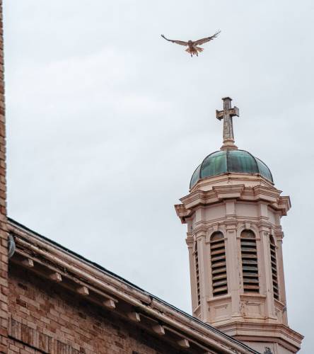 The Northampton Historical Commission has rejected a request from a Holyoke company to permanently remove the cupola that once sat atop St. John Cantius church. The cupola has been removed for repairs and will now need to be reinstalled. 