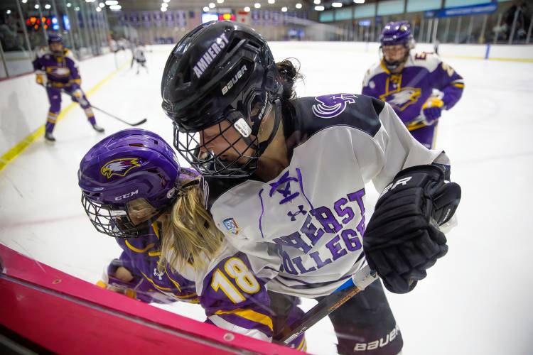 Amherst College’s Ellie DeCarlo (8) fights for the puck against Elmira College’s Madi Morton (18) in the second period of the NCAA quarterfinals Saturday afternoon at Orr Rink.