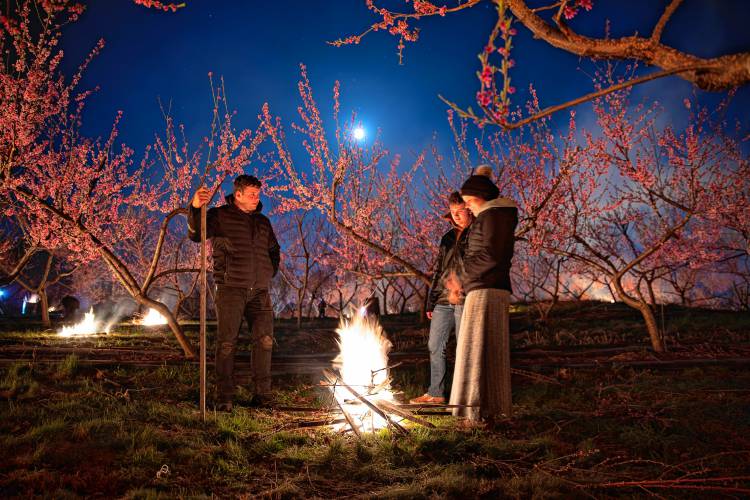 Adam Kurtz, Isaac Yoder and Kari Kurtz tend to one of the dozens of fires set up in the peach orchards at Red Fire Farm in the predawn hours Friday morning in Granby. Volunteers and employees gathered from midnight until sunrise on Thursday and Friday in an effort to save the 3 acres of budding trees from frost as temperatures dropped overnight. Much warmer weather is on the horizon next week.