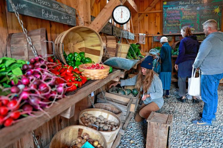Fresh produce available at Natural Roots farm in Conway. Community Involved in Sustaining Agriculture’s (CISA) Buy Local campaign will get a boost in the coming months thanks to a Massachusetts Department of Agricultural Resources grant.