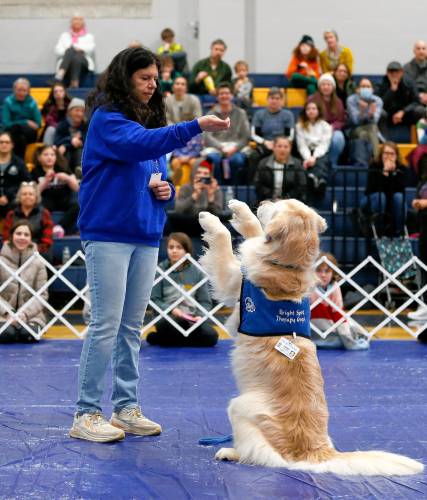 Nancy Ronan shows off the skills of Comet from Bright Spot Therapy Dogs during the clever canine tricks portion of the Volunteers in Northampton Schools’ 16th annual “March Forth With Your Dog: Not Your Typical Dog Show” at the Northampton High School gymnasium.