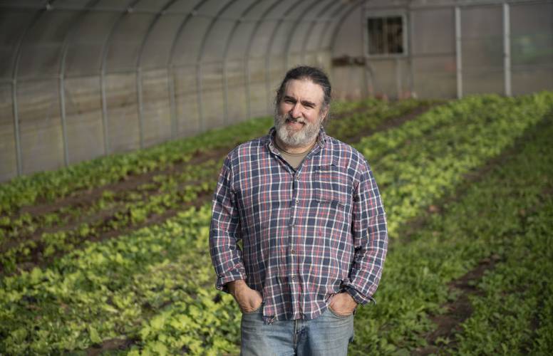 Jeremy Barker-Plotkin, co-owner of Simple Gifts farm in Amherst, in one of the green houses where they grow a lettuce mix. 