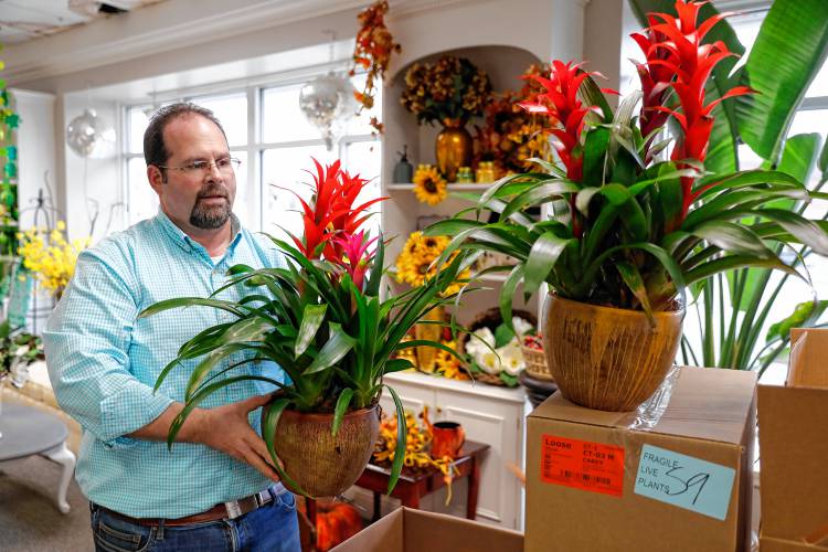 Seth Carey, fourth-generation owner of Carey’s Flowers, unpacks new arrivals of house plants for sale last Thursday afternoon at the store in South Hadley.