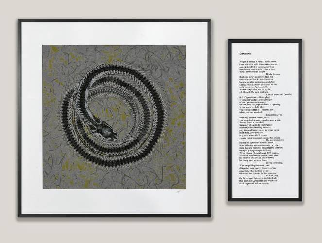 An image of a Common king snake, with its accompanying poem, “Ouroboros.” 
