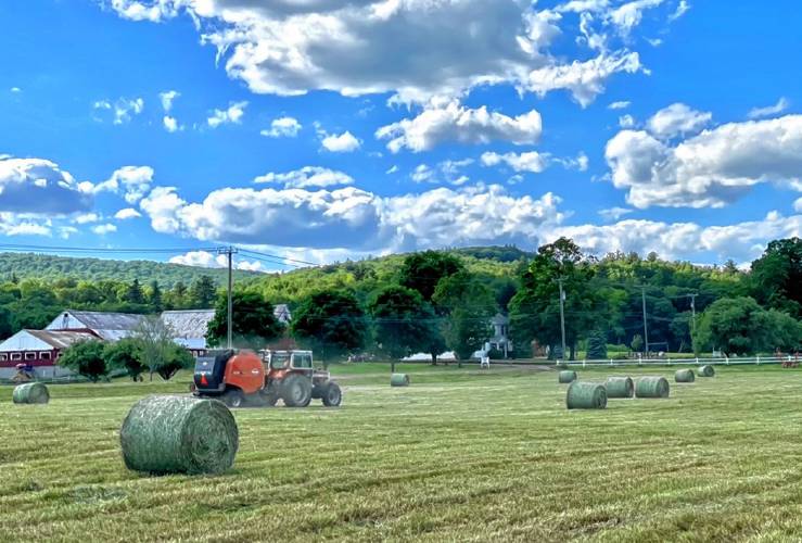 Alongside cattle, Runnymede Farm grows 24 acres of corn, and produces wrapped, round bales of hay. They sell half to neighboring beef and dairy farms and keep the rest to feed their cows.