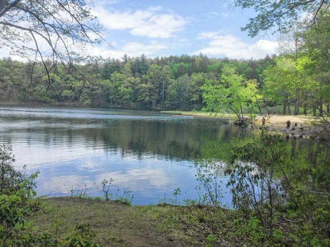Amherst officials are considering improvements to Puffer’s Pond to deal with sediment buildup, an uptick in e. Coli, and erosion. 