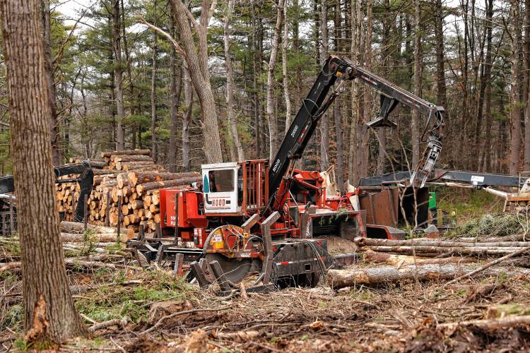 Logging crews work on a section of Dufresne Park on a March afternoon in Granby.