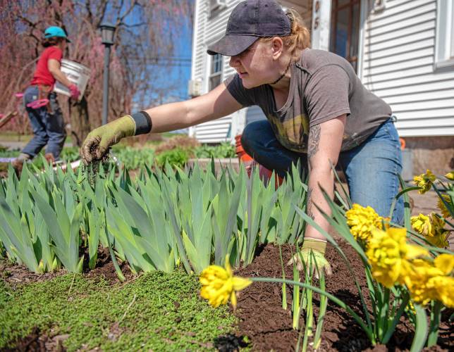 Jade Tarris, an employee of Gwen’s Gardening, spreads compost and soil around irises next to some daffodils at Wagner Wood in Amherst. Spring temperatures appear to be here to stay; see complete forecast, A2.