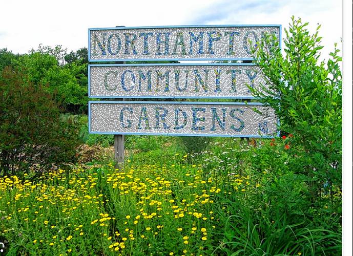 The Northampton Community Garden on Burts Pit Road is on land that was the kitchen garden for the Northampton State Hospital.